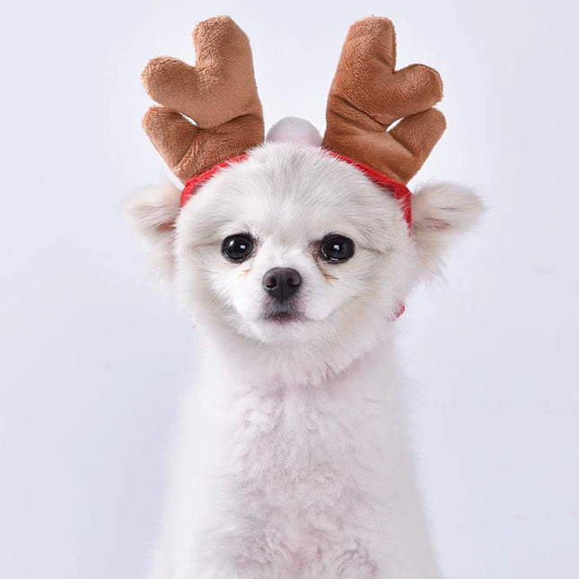 Uglysweatershops 2 Pack Pet Reindeer Headband