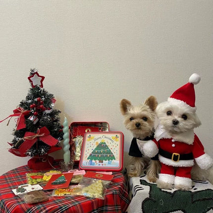 Uglysweatershops Christmas Santa Claus Pet Costume Dog Cat Xmas Outfit