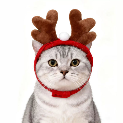 Uglysweatershops 2 Pack Pet Reindeer Headband