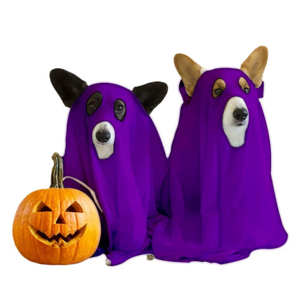 Uglysweatershops HalloweenGhost Suit Dog cosplay