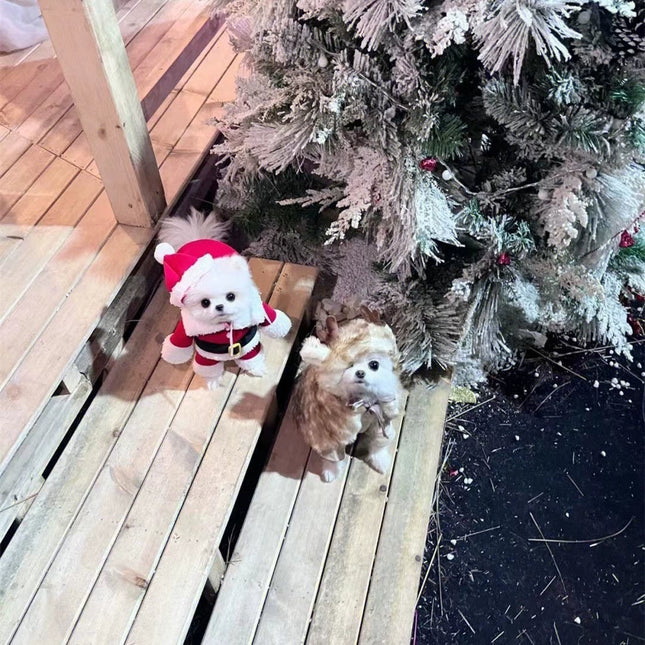 Uglysweatershops Christmas Santa Claus Pet Costume Dog Cat Xmas Outfit
