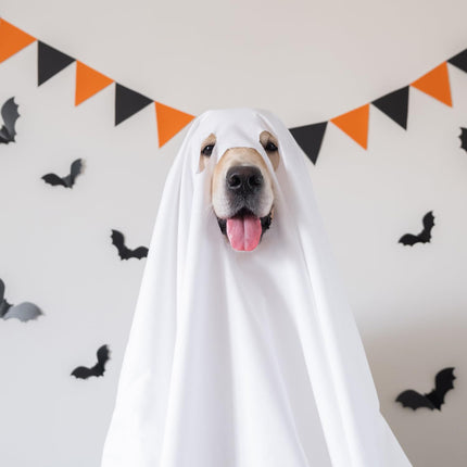 Uglysweatershops HalloweenGhost Suit Dog cosplay