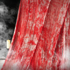 Blood